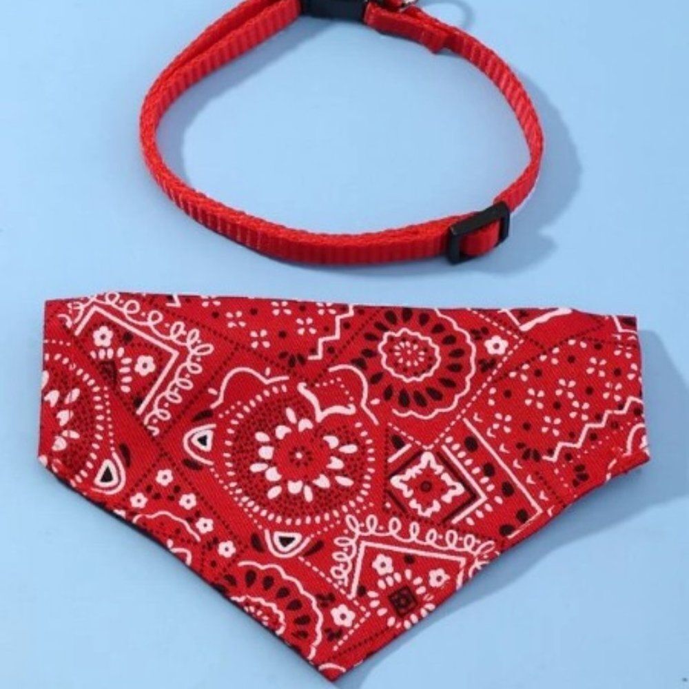 PET SCARF AND COLLAR